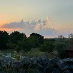 Vidoni Vrbnik (Primorje-Gorski Kotar)